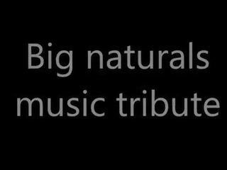 Pmv - muziek tribute groot naturals
